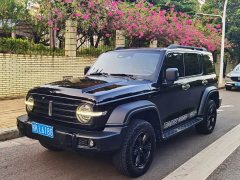 Tank 300 Off-Road Edition 2.0T Conqueror - ფოტო 1