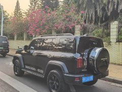 Tank 300 Off-Road Edition 2.0T Conqueror - ფოტო 6