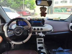 Wuling Binguo 333km Joy Edition - ფოტო 10