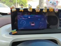 Wuling Binguo 333km Joy Edition - ფოტო 12