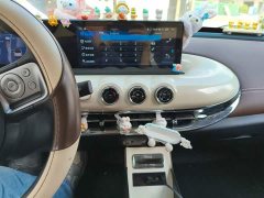 Wuling Binguo 333km Joy Edition - ფოტო 14