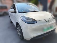 Wuling Binguo 333km Joy Edition - ფოტო 3