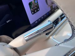 Luxeed Zhiji V9 Max - ფოტო 13