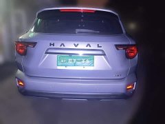 Haval Big Dog PLUS 2.0T AWD Trendy Wilderness Plus - photo 3