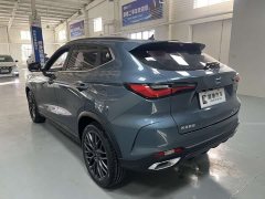 Changan Oushan X5 1.5T DCT Premier - ფოტო 6