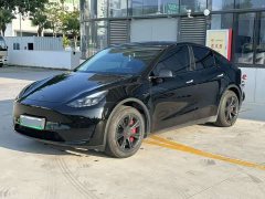 Tesla Model Y Rear-Wheel Drive - ფოტო 1