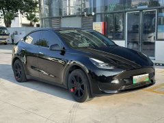 Tesla Model Y Rear-Wheel Drive - ფოტო 3