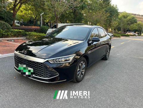 2024 BYD Qin PLUS Glory Edition DM-i 55KM Leading