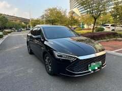 BYD Qin PLUS Glory Edition DM-i 55KM Leading - photo 3