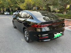 BYD Qin PLUS Glory Edition DM-i 55KM Leading - photo 6
