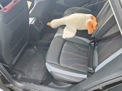 Volkswagen Lingdu L 280TSI DSG Spicy Edition - photo 11