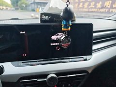Volkswagen Lingdu L 280TSI DSG Spicy Edition - photo 13