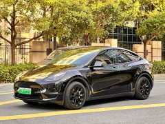 Tesla Model Y Standard Range RWD - ფოტო 1