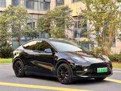 Tesla Model Y Standard Range RWD - ფოტო 3