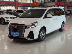 Buick GL8 Land Executive Cabin 652T Luxury - ფოტო 1