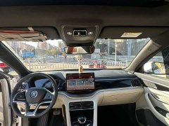 BYD Song Plus New Energy EV Premier - ფოტო 9