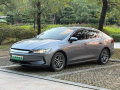 BYD Qin PLUS Champion Edition EV 420KM Excellence - фото 1