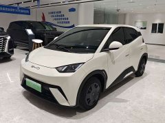 BYD Seagull Freedom Edition - ფოტო 1