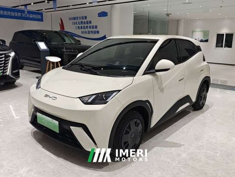 2023 BYD Seagull Freedom Edition - ავტომობილი ჩინეთიდან
