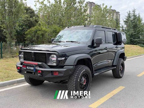 2024 Tank 300 2.0T Conqueror - автомобиль из Китая