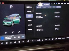 Li Auto L9 Max - фото 14