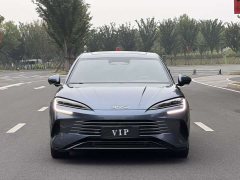 BYD Seal 07 DM-i Smart Driving Edition DM-i 1.5L 125km Luxury - фото 2