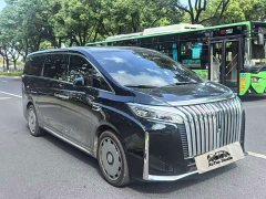 Great Wall WEY Shanshan New Energy Four-Wheel Drive Executive Extended Version - фото 2