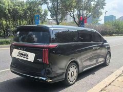 Great Wall WEY Shanshan New Energy Four-Wheel Drive Executive Extended Version - фото 3