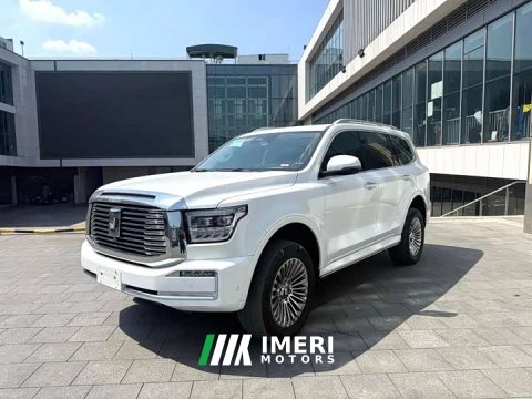 2022 Tank 500 3.0T Business Edition Landscape Trim 5-Seater - автомобиль из Китая