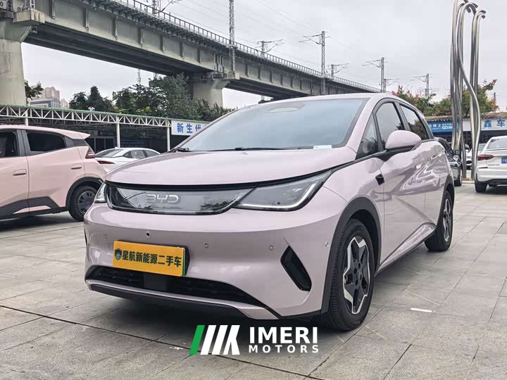 BYD Dolphin Smart Drive 420km Freedom Edition - ავტომობილი ჩინეთიდან