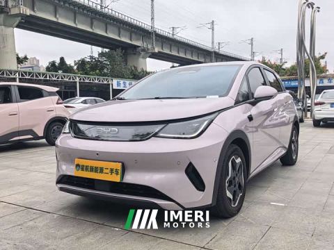 2026 BYD Dolphin Smart Drive 420km Freedom Edition