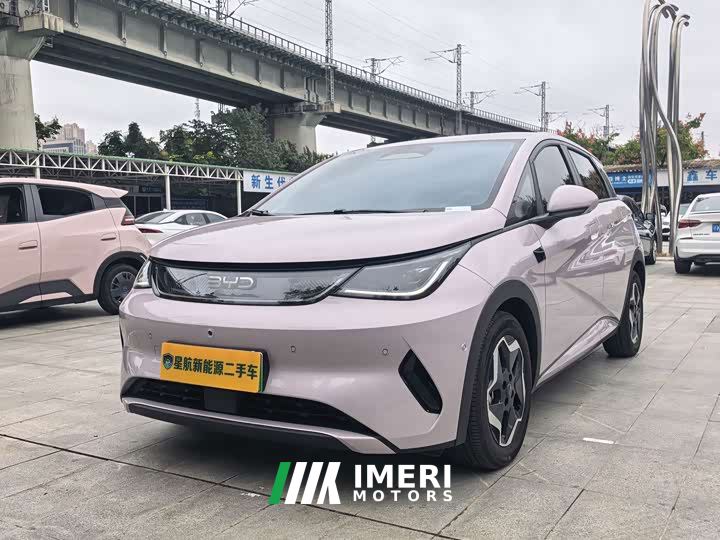 BYD Dolphin Smart Drive 420km Freedom Edition