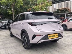 BYD Dolphin Smart Drive 420km Freedom Edition - ფოტო 17