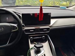 Geely Bingyue 1.5T DCT Diamond Edition - photo 13