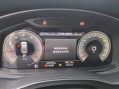Audi A6L 40 TFSI Luxury Sport Edition - photo 14