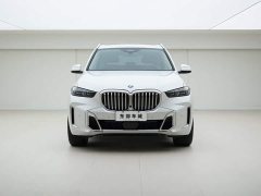 BMW X5 xDrive 30Li M Sport Premium Package - фото 2