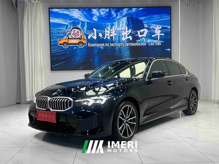 BMW 3 Series 320Li M Sport Package - car from China