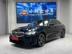 BMW 3 Series 320Li M Sport Package - photo 1