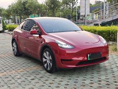 Tesla Model Y Rear-Wheel Drive - ფოტო 3