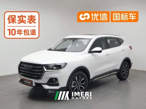 2023 Haval H6 National Trend Edition 1.5T Automatic Urban Version - car from China