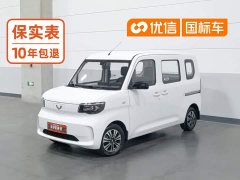 Wuling Zhiguang New Energy 201km Standard - photo 1