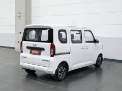 Wuling Zhiguang New Energy 201km Standard - photo 2