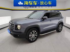 Great Wall Dachshund 1.5T DCT Two-Wheel Drive Border Collie Edition - photo 1