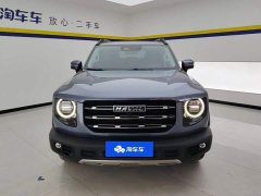 Great Wall Dachshund 1.5T DCT Two-Wheel Drive Border Collie Edition - photo 2