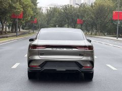 BYD Han DM-i Champion Edition 121KM Premium - photo 12