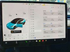 Tesla Model 3 Standard Range RWD Upgrade 3D6 - ფოტო 5