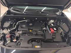 Toyota Vland 2.0L CVT AWD Luxury Plus - photo 10