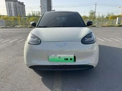 Wuling Binguo 333km Joy Edition - ფოტო 1