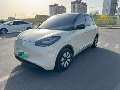 Wuling Binguo 333km Joy Edition - ფოტო 2