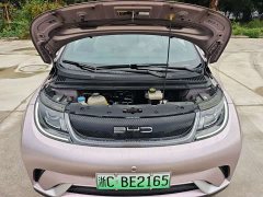 BYD Dolphin 405km Freedom Edition - фото 19
